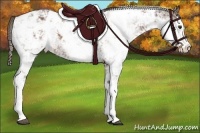 Horse Color:Liver Chestnut Sabino Appaloosa Rabicano 
