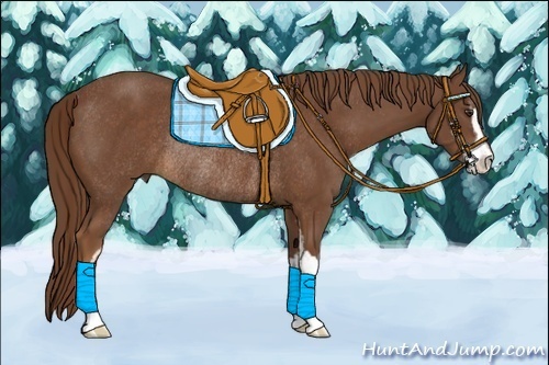 Horse Color:Chestnut Sabino Rabicano 