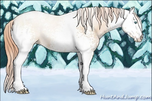 Horse Color:White Spotted Buckskin Pearl 