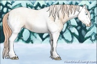 Horse Color:White Spotted Buckskin Pearl 