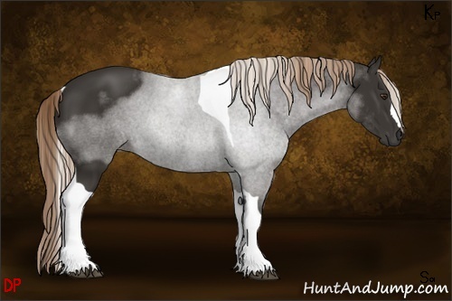 Horse Color:Liver Chestnut Tobiano