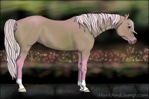 Horse Color:Watercolor Silver Brown 