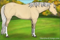 Horse Color:Silver Buckskin Dun Sabino Tobiano
