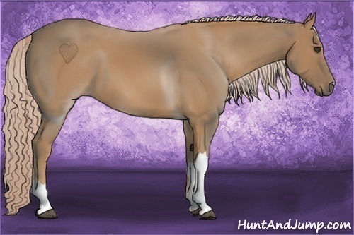 Horse Color:Palomino 