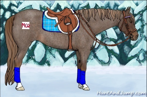 Horse Color:Liver Red Roan 