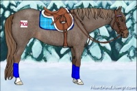 Horse Color:Liver Red Roan 