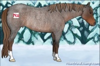 Horse Color:Liver Red Roan Rabicano 