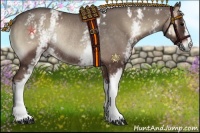 Horse Color:White Spotted Silver Blue Onyx Rabicano