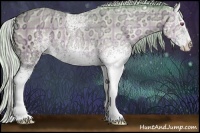Horse Color:Watercolor Plaid White Spotted Silver Classic Champagne Chinchilla Ice Dun Rabicano