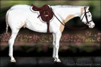 Horse Color:Amber Champagne Splash Tobiano Blanket Rabicano 