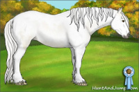 Horse Color:Gray Silver Buckskin Dun Sabino Tobiano