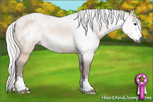 Horse Color:Gray Silver Bay Sabino