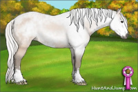 Horse Color:Gray Silver Bay Sabino