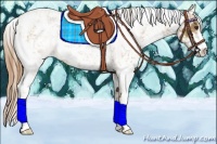 Horse Color:Chestnut Sabino 