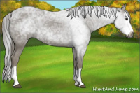 Horse Color:Gray Smoky Black Ice Splash 