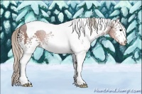 Horse Color:White Spotted Silver Brown Tobiano