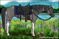 Horse Color:Grullo Roan Tobiano