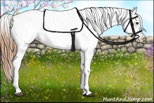 Horse Color:Red Roan Splash Blanket 