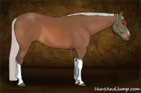 Horse Color:Silver Bay