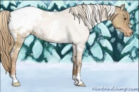 Horse Color:White Spotted Liver Chestnut Pearl Snowcap 