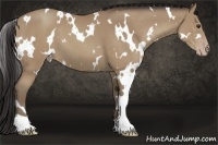 Horse Color:White Spotted Classic Champagne 