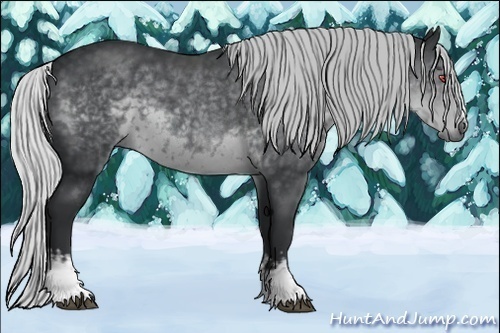 Horse Color:White Spotted Silver Black Chinchilla 