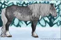 Horse Color:White Spotted Silver Black Chinchilla 