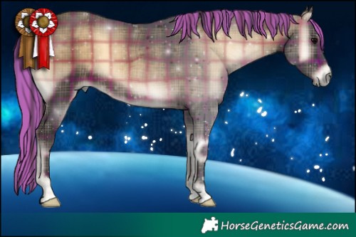 Horse Color:Painted Plaid Bay Onyx