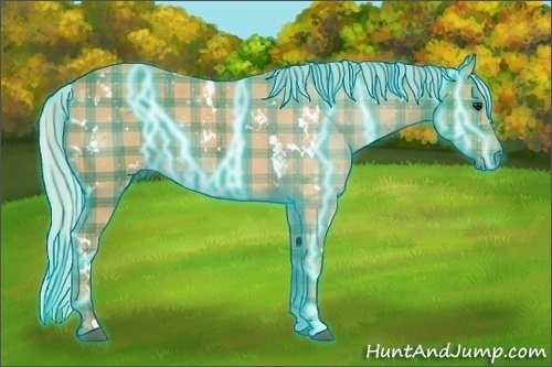 Horse Color:Thunderstruck Plaid White Spotted Silver Bay Rabicano