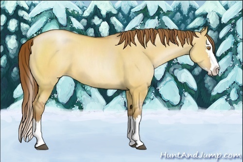 Horse Color:Brown Pearl Dun Sabino Splash 