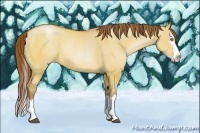 Horse Color:Brown Pearl Dun Sabino Splash 