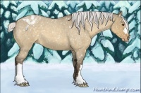 Horse Color:Silver Buckskin Roan Dun Appaloosa 