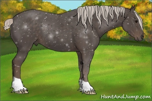 Horse Color:Silver Black 