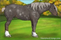 Horse Color:Silver Black 