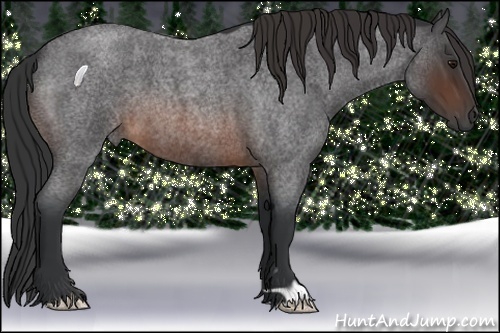 Horse Color:Brown Roan 