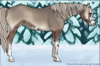 Horse Color:Silver Blue Onyx Sabino