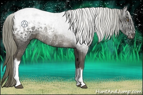 Horse Color:Liver Chestnut Ice Rabicano