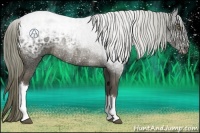 Horse Color:Liver Chestnut Ice Rabicano