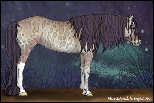 Horse Color:Painted Buckskin Ice Onyx 