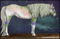 Horse Color:Watercolor Silver Bay Ice Onyx  and Watercolor Silver Blue Onyx Ice 