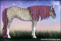 Horse Color:Painted Classic Cream Champagne Ice Onyx