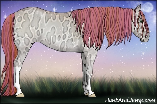 Horse Color:Painted Buckskin Ice Pearl Onyx 