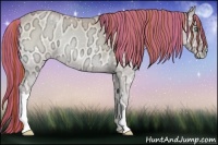 Horse Color:Painted Buckskin Ice Pearl Onyx 