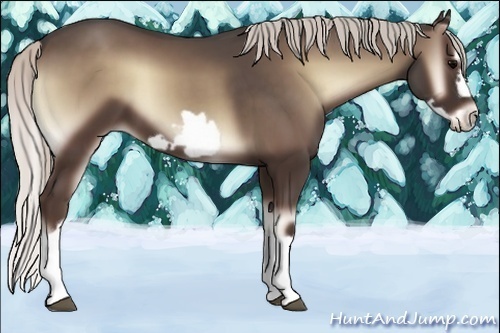 Horse Color:Silver Blue Onyx Splash Frame