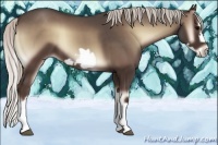 Horse Color:Silver Blue Onyx Splash Frame 