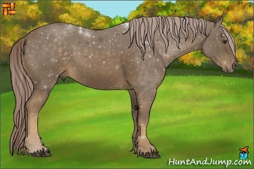 Horse Color:Chocolate Palomino 