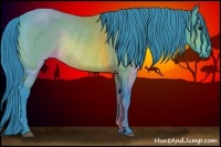 Horse Color:Watercolor Bay Rabicano 