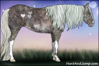 Horse Color:Watercolor Silver Amber Cream Champagne Ice Onyx Rabicano 