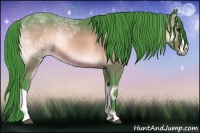 Horse Color:Watercolor Bay Ice Onyx Rabicano