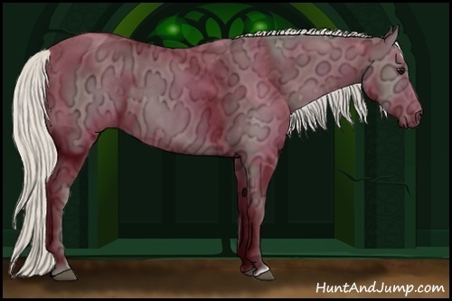 Horse Color:Silver Smoky Black Ice